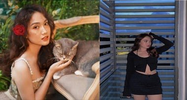 O avião da velha senhora fez sexo com toda a empresa