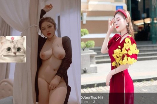 Phuong Anh, nascido em 2006, foi lançado clipe de cenas de sexo com seu amante